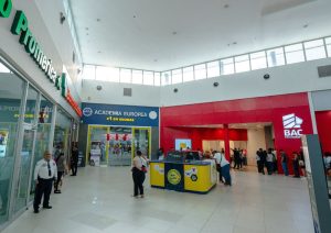 MEGA (14)